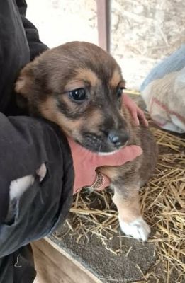 614887958 2044851726361137 2644263110412726344 n