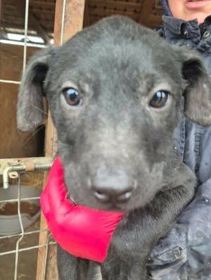 615062542 25682149264758991 7154118770377952227 n