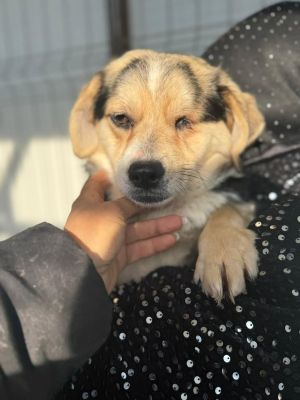 615148428 25711772721796645 6025826098548094266 n