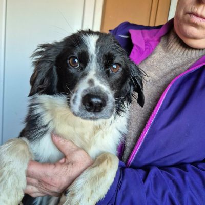 615151672 784266434696794 8439534741050936596 n