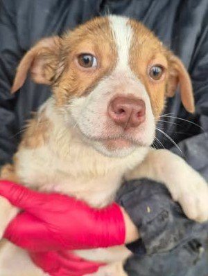 615163618 25682457301394854 3831984183315587048 n