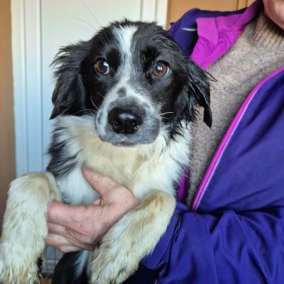 615332748 784266541363450 6005420358125885120 n