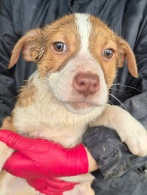 615343123 25682457991394785 6439605386880188197 n