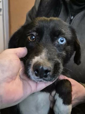 615354100 25725210517119532 711106605635407516 n