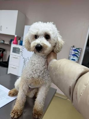 615410960 1599586804409950 6362231778949128962 n