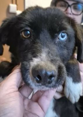 615417503 25725210687119515 7284477572183205244 n