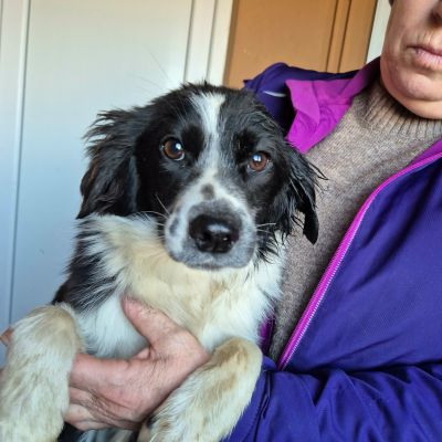 615429116 784266428030128 2395865256217858334 n