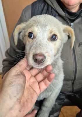 615433741 25742486965391887 8517438367674860547 n