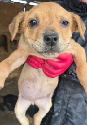 615452261 25682322384741679 256453231854633081 n