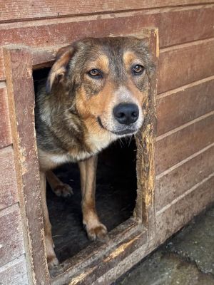 615452808 25723848023922448 302404550986016817 n