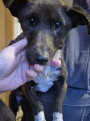 615480930 25725288640445053 7731329553802646152 n