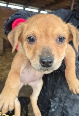 615490846 25682322048075046 961821769115410786 n