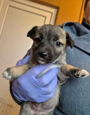 615490849 25742375682069682 2489799168545405395 n