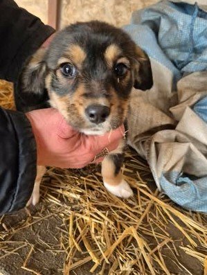 615553832 740607482065977 4268608492936003796 n