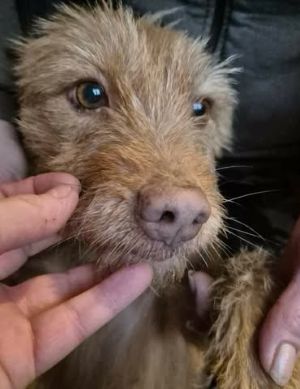 615577645 25725061417134442 2148851412569416644 n