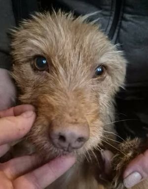 615690551 25725061993801051 2167425976597490352 n