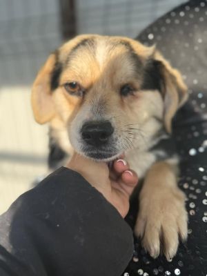 615716403 25711772728463311 7872143581754312447 n