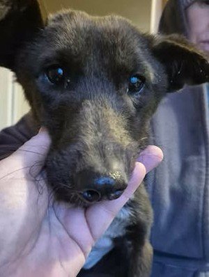 615741478 25725287327111851 5548778133573903240 n