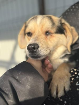 615779182 25711772695129981 1827688580974401286 n