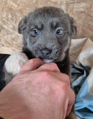 615799532 734581322707880 6689499146100204174 n