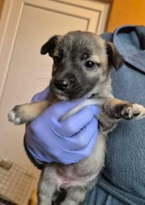 615812048 25742375678736349 8054608895857613619 n