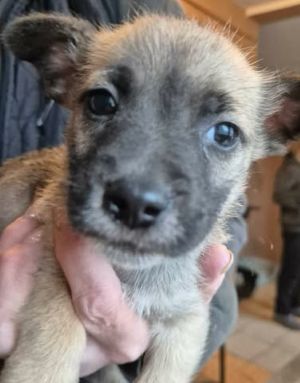 615812050 25742405798733337 8908222124635347244 n