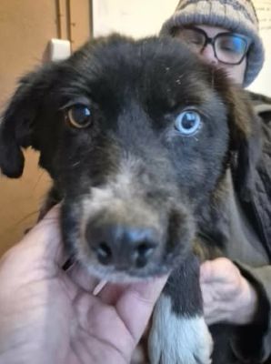 615818132 25725210717119512 9129625046321178087 n