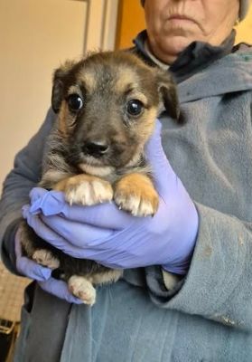 615819861 25742325248741392 6525759298303196044 n