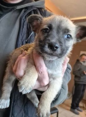 615820144 25742405635400020 3516694159342804503 n