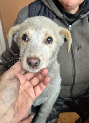 615820448 25742486978725219 1157994058401162318 n