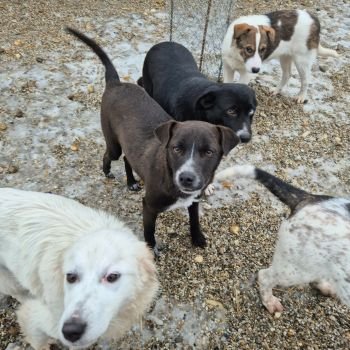 615828827 1402805271503259 6125891062656263924 n