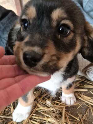 615828828 1598017231213583 1273928461155628768 n