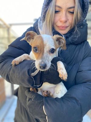 615836241 25711698108470773 3548000976125707765 n