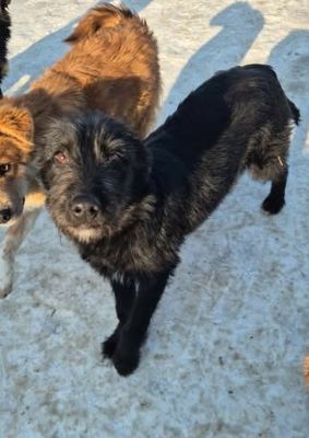 615859918 25759652973675286 4941826748521838081 n