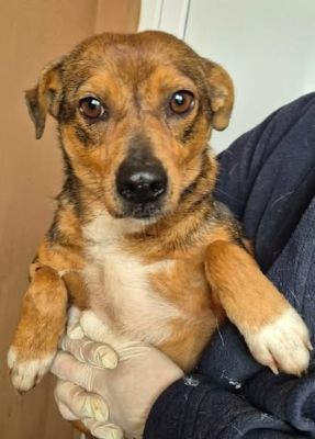 615870978 25759512320356018 5920133218761699863 n