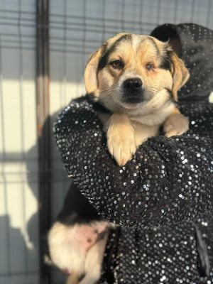 615891831 25711772931796624 1166626623588982557 n