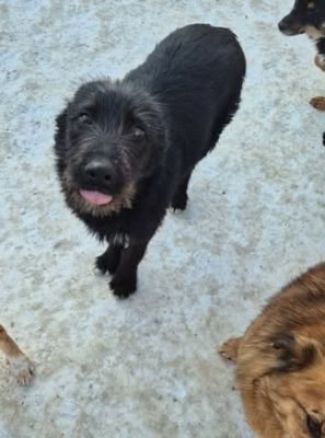 615897414 25759652103675373 8316820836868944117 n