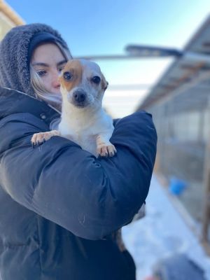 615917679 25711697878470796 1295552897614089849 n