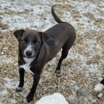 615934368 811503238614154 5001105704839622478 n