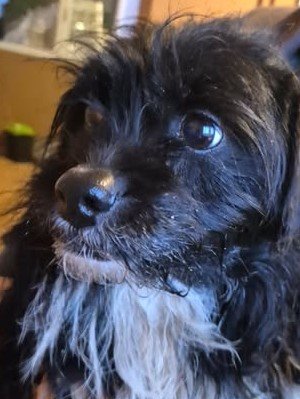 615946133 25750587481248502 9035762081146915435 n