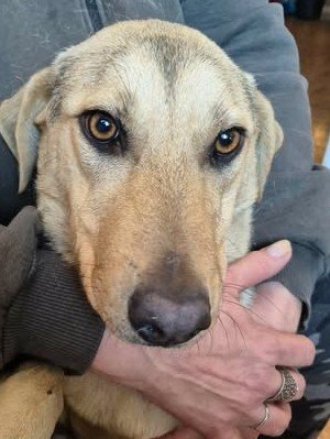 615971912 25750641234576460 8035635691737358459 n