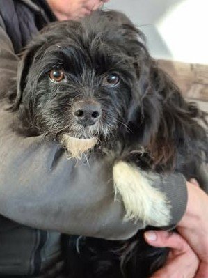 615974804 25750592924581291 1757409422820252355 n