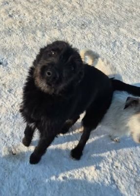 615994660 25759651903675393 5892537950372538425 n