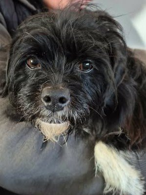 616009820 25750587494581834 8335414356435490887 n