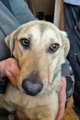 616019843 25750641421243108 7925193680219315188 n