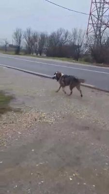 616025435 4136541266566136 767740994533609169 n