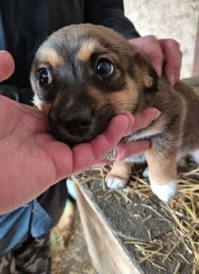 616048187 2054293535411704 7613010282736696665 n