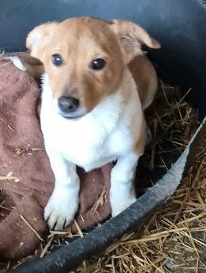 616105240 4319672374946182 2079981360287966655 n