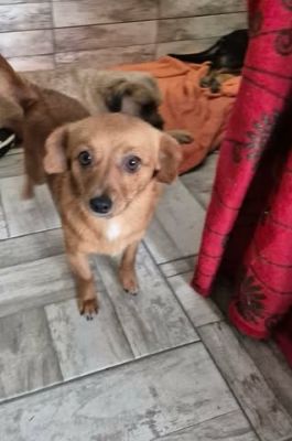 616108394 1647236583123947 2969359691686286325 n