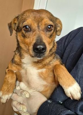 616192848 25759512777022639 6539606484433327331 n